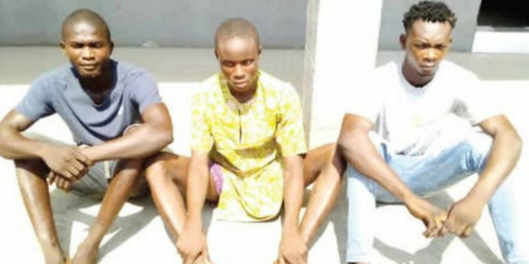 Lagos bakery workers who robbed employer with fake pistol arrested