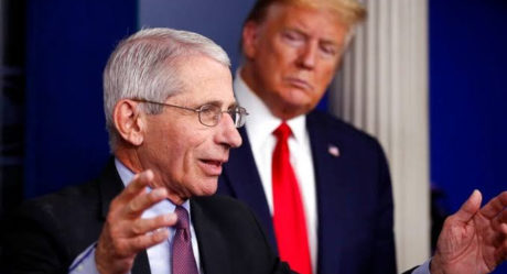 Dr Fauci opens up on threats he faced working for Trump