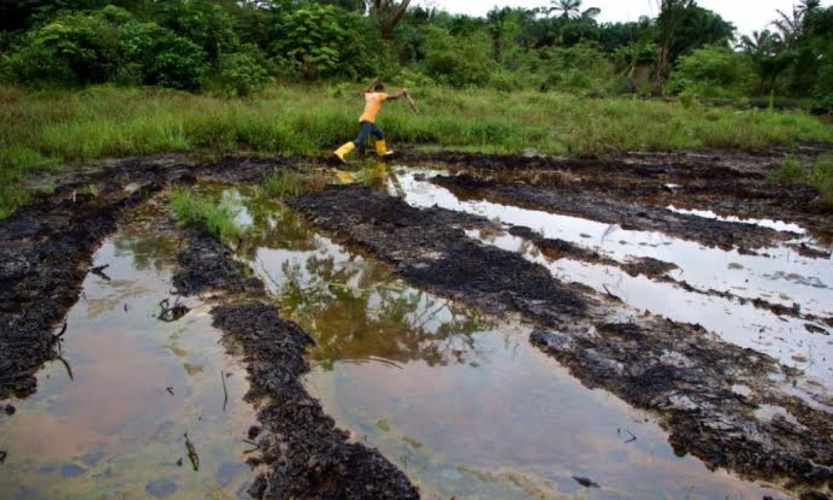 JUST IN: Court orders Shell to compensate Niger-Delta communities over oil  spillage