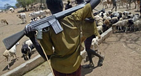 Farmer slaughtered as suspected Fulani herdsmen attack Ogun