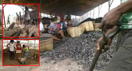 Inside Nsukka illegal Chinese Charcoal factory where owners bribe their way to operate, pay peanuts to Nigerian staffs