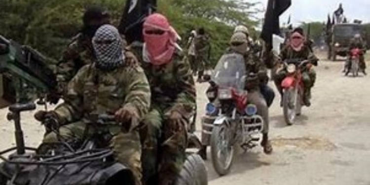 ISWAP in northern Nigeria