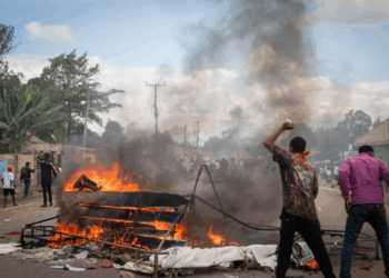 From Cameroon to Tanzania, Voters Face Violence and Loss in the Fight for Democracy