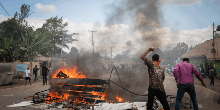 From Cameroon to Tanzania, Voters Face Violence and Loss in the Fight for Democracy