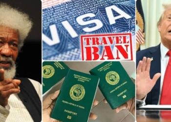 U.S visa ban Nigeria: Soyinka and Donald Trump