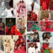 Matching pyjamas, Christmas trees & family: How Nigerian celebs marked Christmas in photos