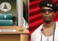 Wizkid's presidency and political party declaration