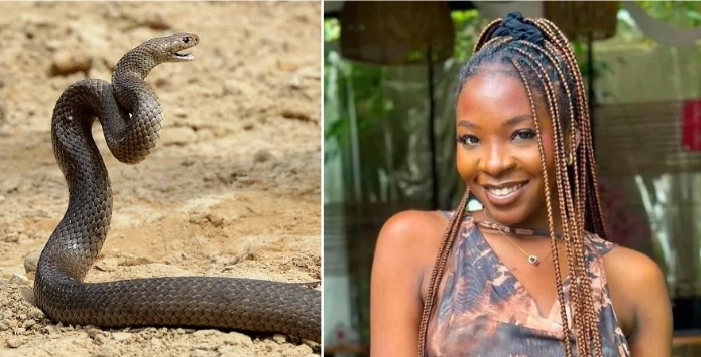 Snake bite, Ifunanya Nwangene’s death