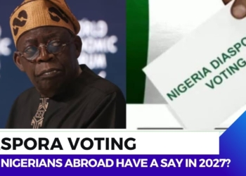 2027 elections: Nigerian Diaspora voting