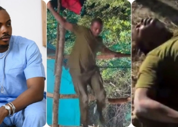 Enioluwa on-set collapse