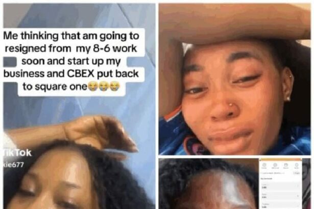 INSIGHT: Telltale indicators of AI-generated ponzi investment campaigns