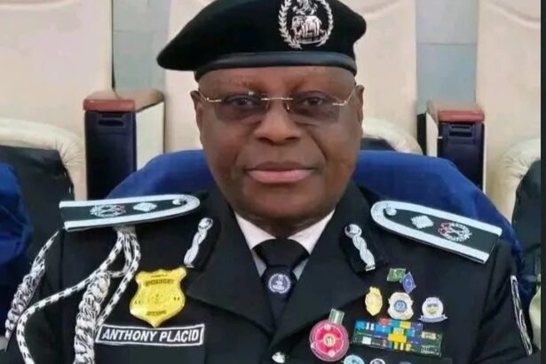 AT A GLANCE: Essential information about newly appointed police spokesperson Placid