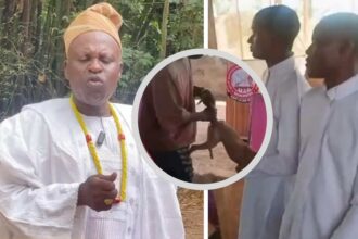 Osogbo sacred groove