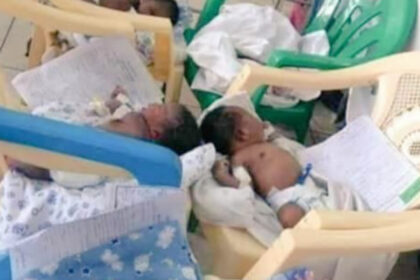 Babies on plastic chairs