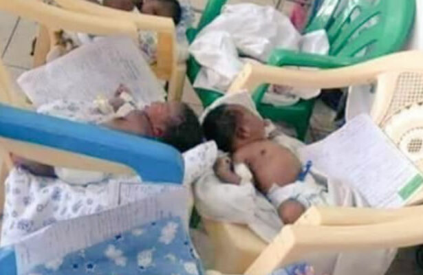 Babies on plastic chairs