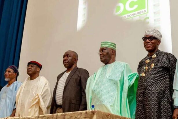 SPOTLIGHT: Unpacking the ADC leadership rift – everything you need to know