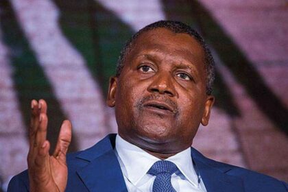 aliko dangote power project