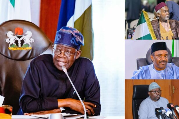 FROM CABINET TO DEFEAT: How Tinubu’s ministers resigned and lost 2027 bids