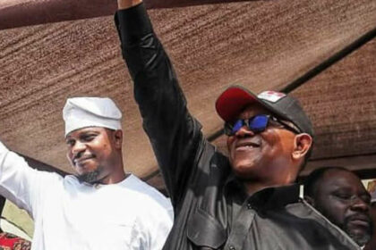 Rhodes-Vivour, Peter Obi