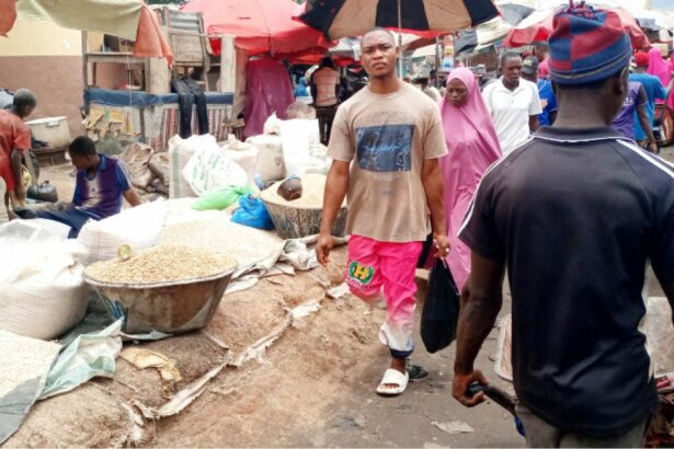 Reasons Why Food Prices Are Rising Again in Nigeria Despite Lower Inflation in 2026