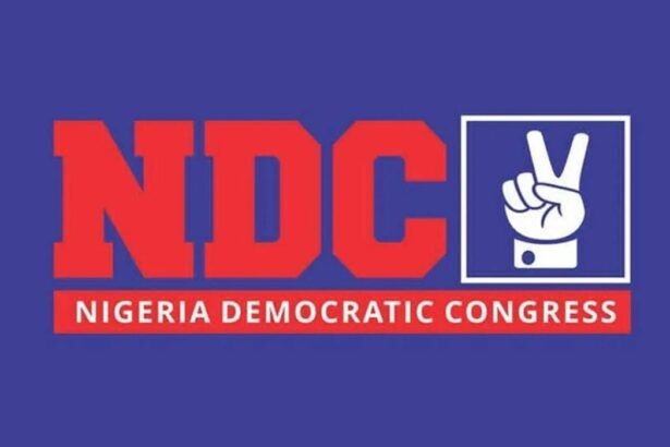 ACCOUNTABILITY: NDC indemnity bond sparks debate over defections, party loyalty