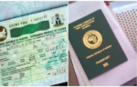 Work Permit Nigeria: How Foreigners Can Legally Get an Employment Visa