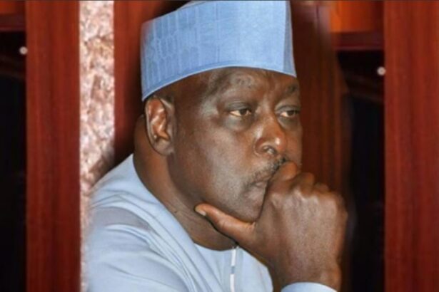 SPOTLIGHT: From ally to adversary — the many political turns of Babachir Lawal