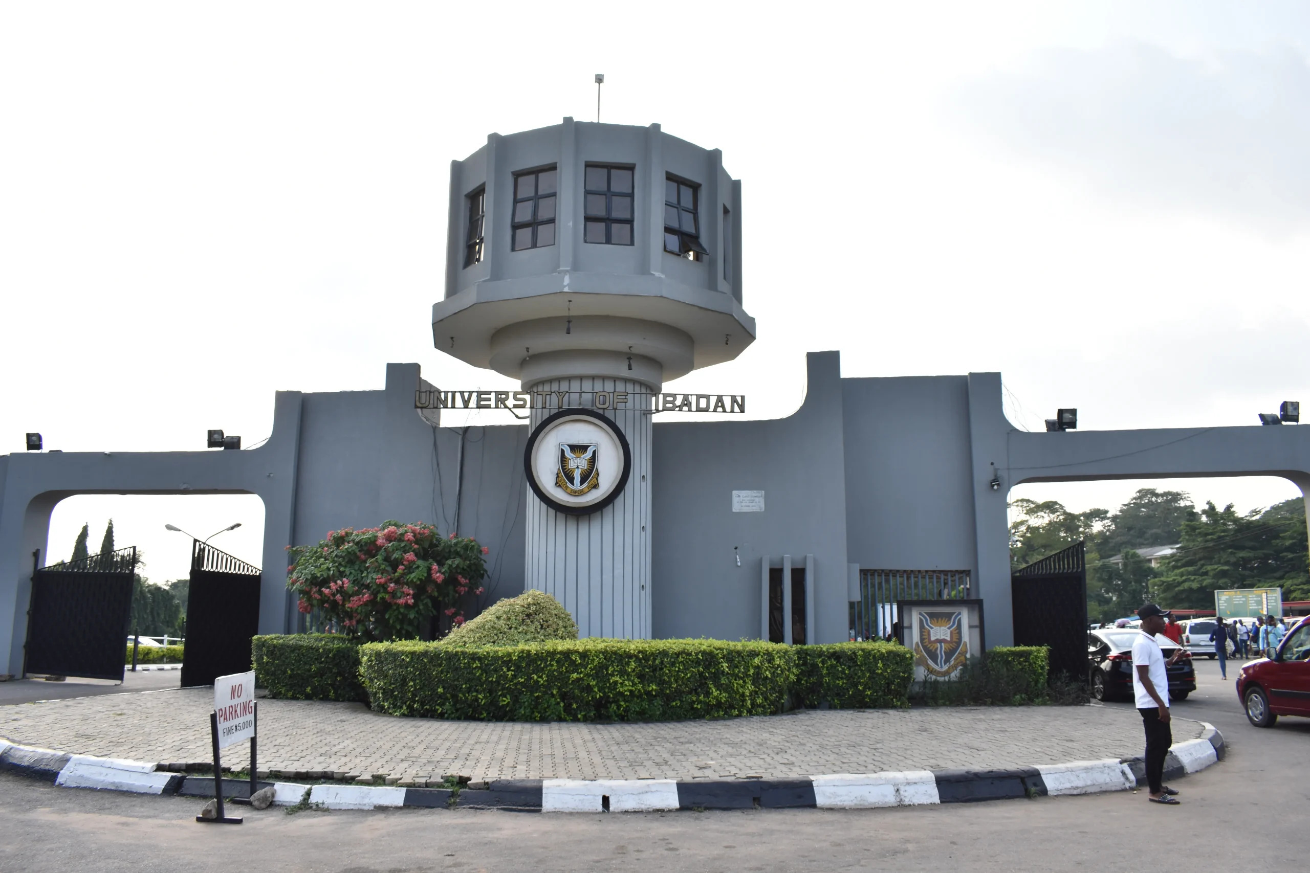 Direct Entry Admission Requirements for Nigerian Universities in 2026
