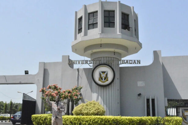 University of Ibadan best university in Nigeria 2026 THE ranking