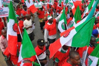 nlc minimum wage struggle