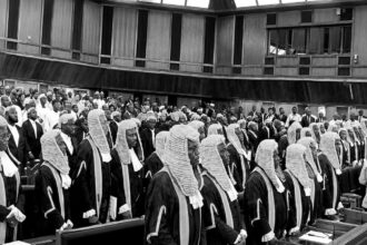 68 new san in nigeria