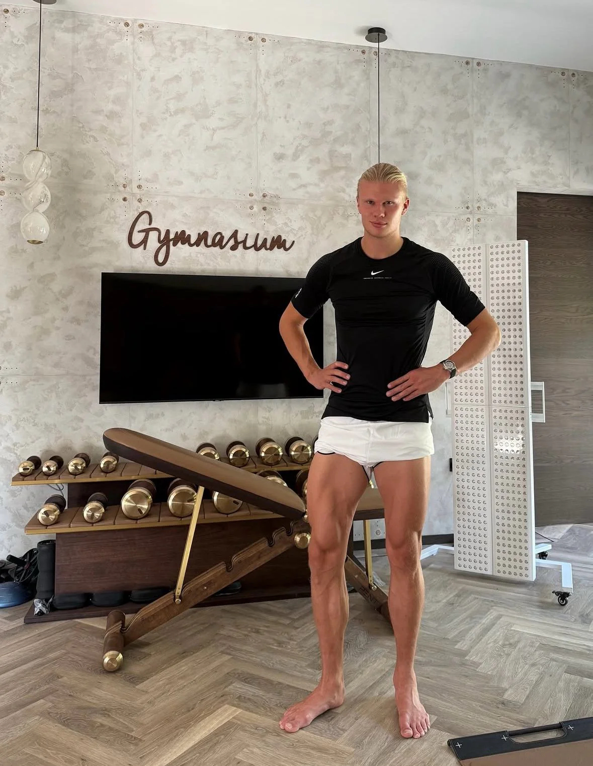 Erling Haaland