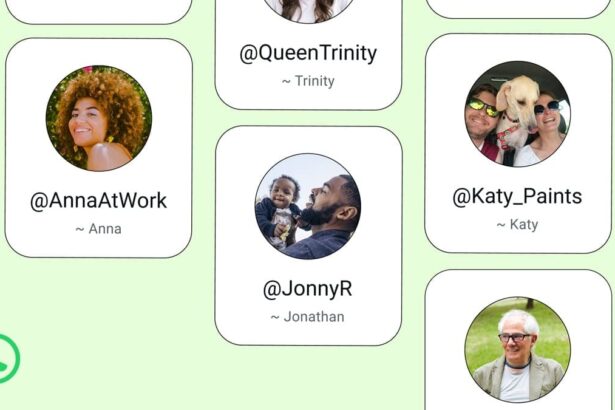 WHATSAPP GUIDE: Six steps to create a username without sharing your phone number