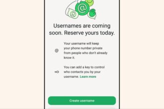 whatsapp usernames