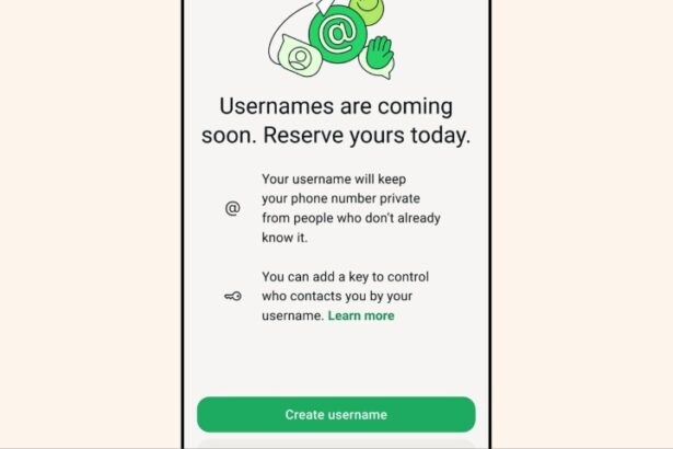 whatsapp usernames