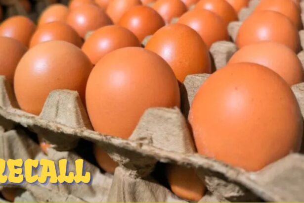 eggs recalled salmonella