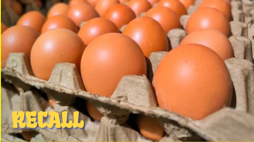 eggs recalled salmonella