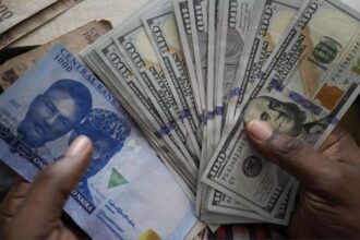 nigerian naira