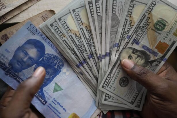nigerian naira