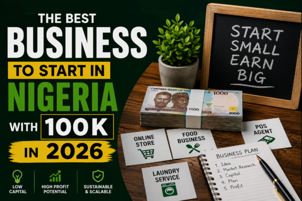 The Best Business to Start in Nigeria with 100k in 2026
