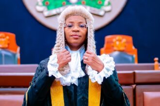 RESULTS ARE IN: Badejo-Okusanya elected 33rd NBA president
