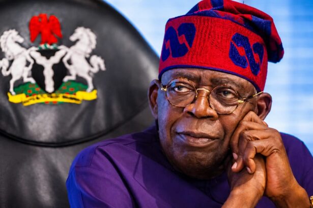 AT A GLANCE: Nigeria, 59 other countries with lowest GDP per capita in 2026