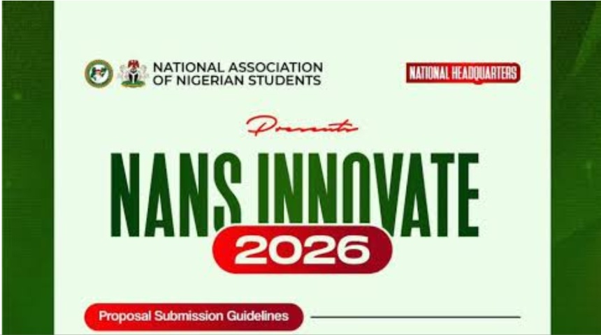 nans business funding application