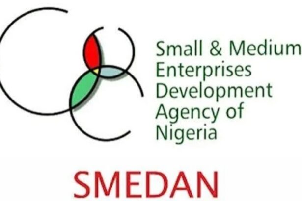 smedan young entrepreneurs programme