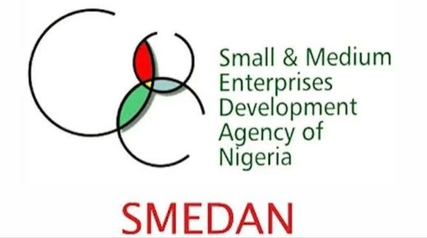 smedan young entrepreneurs programme