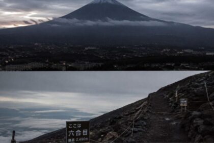 boy left on mount fuji