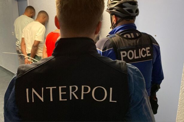 interpol operation jackal iv