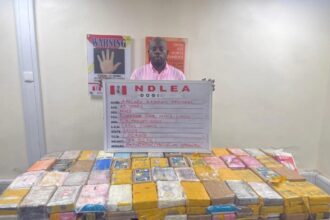 KayCee Luxury: From luxury cars and celebrity circles to a 184.5kg cocaine investigation