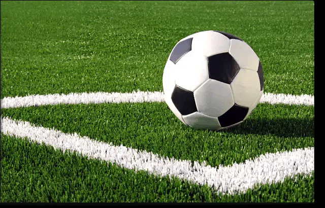 Artificial Turf
