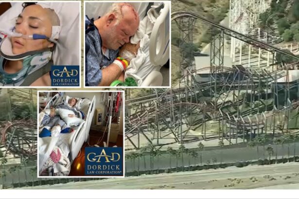 six flags roller coaster brain injury